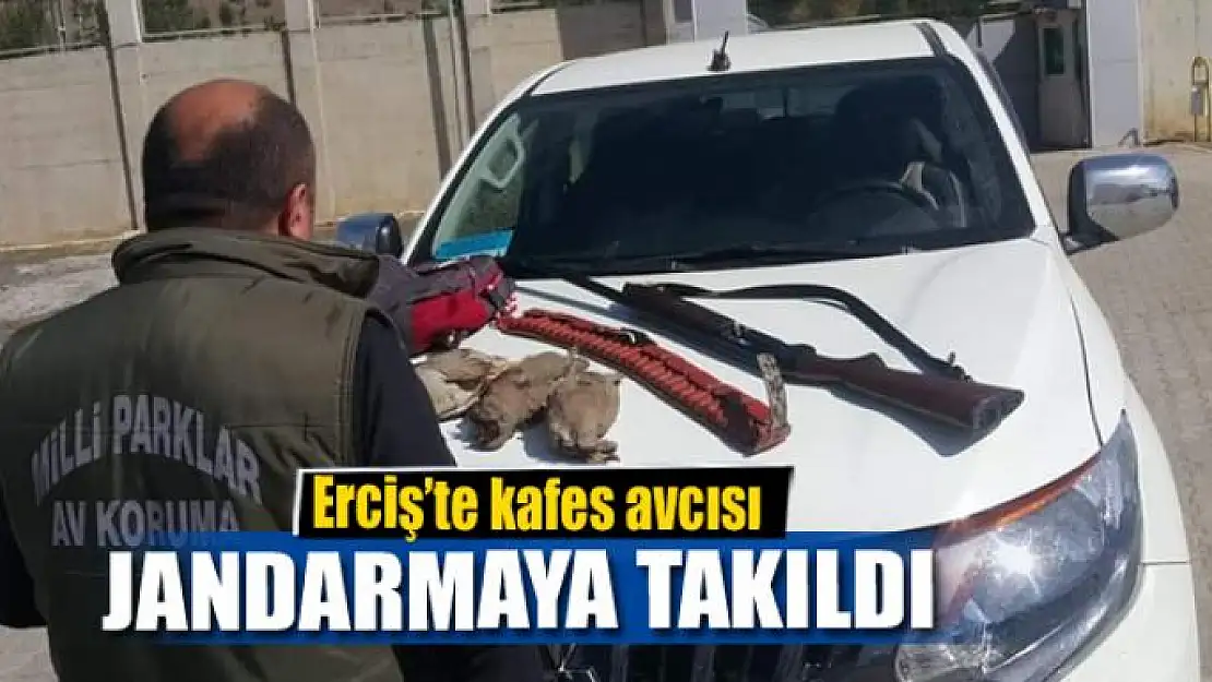 Kafes avcısı jandarmaya takıldı