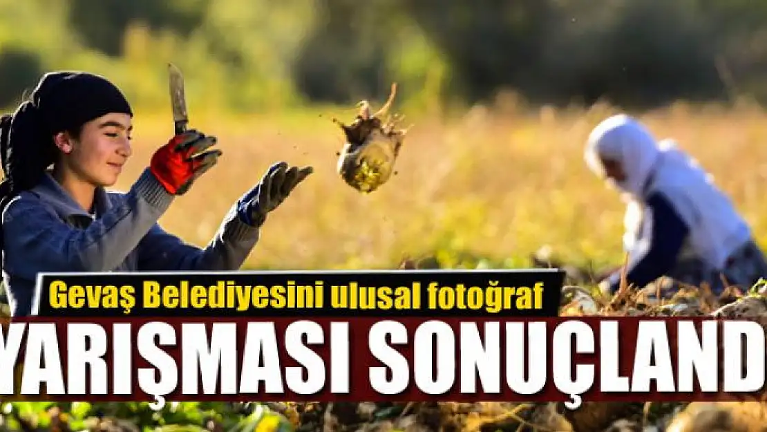 Gevaş Belediyesini ulusal fotoğraf yarışması sonuçlandı 