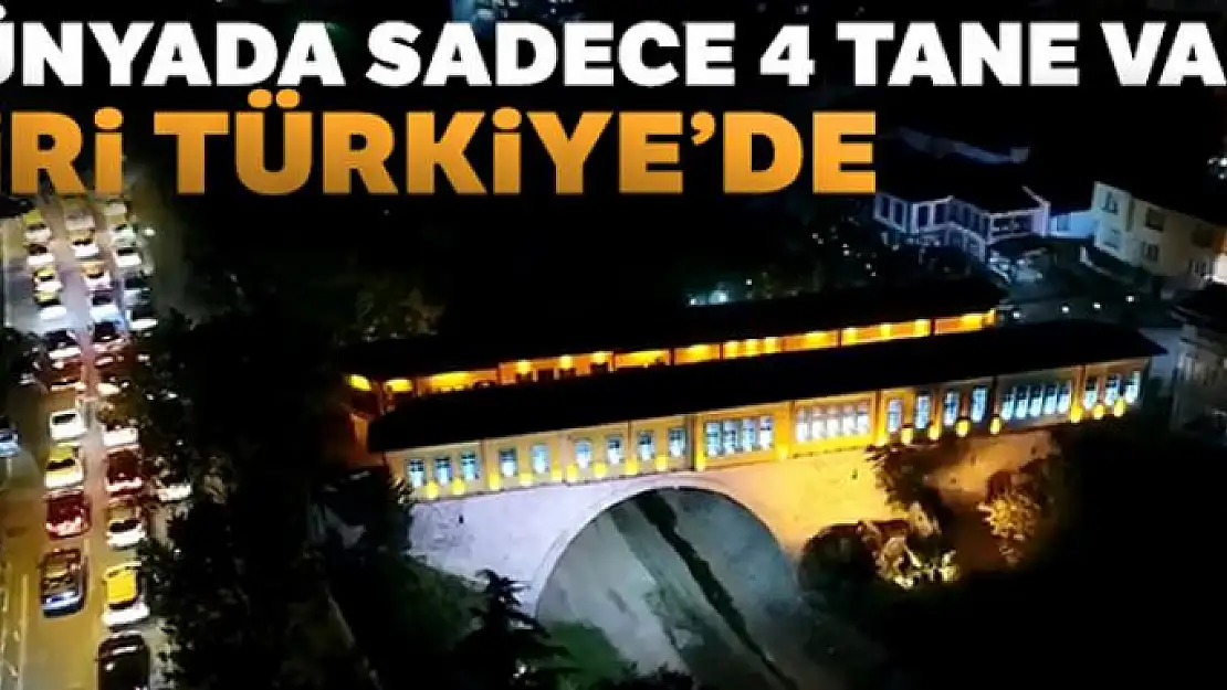 Dünyada sadece 4 tane var, biri Türkiye'de