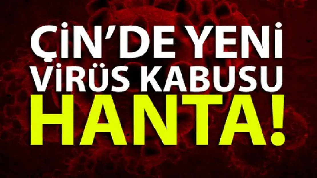 Çin'de yeni virüs: Hanta |Hanta virüsü nedir?