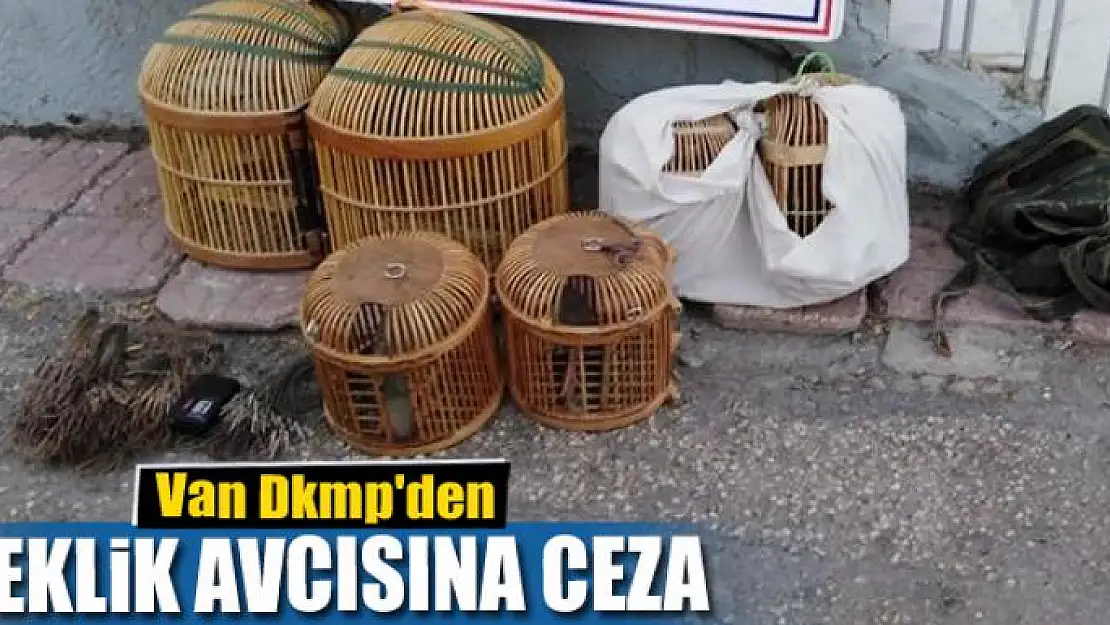 Van Dkmp'den keklik avcısına ceza