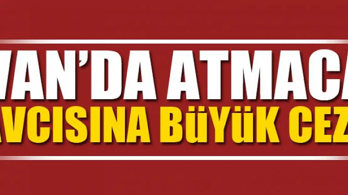  Atmaca avcısına büyük ceza