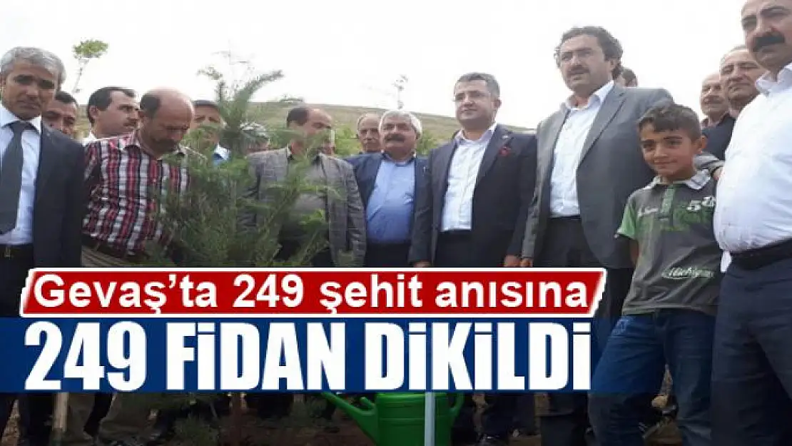  Gevaş'ta 249 şehit anısına 249 fidan dikildi