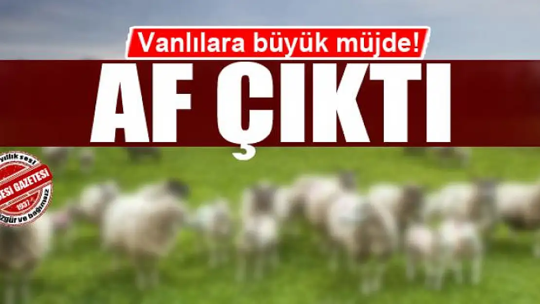 Vanlılara büyük müjde! Af çıktı