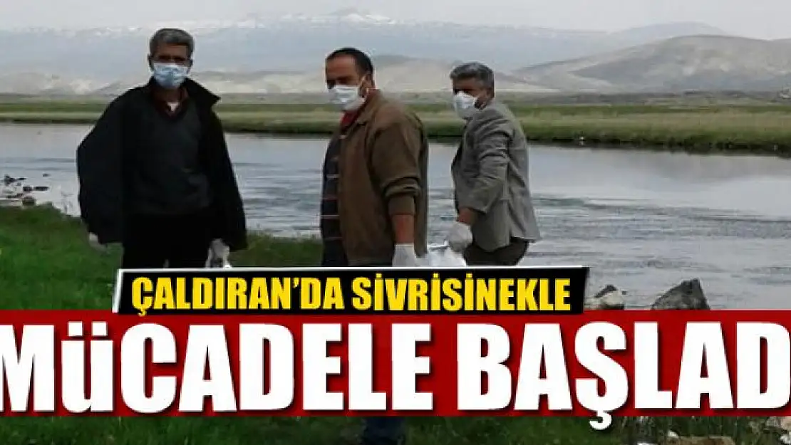 Çaldıran'da sivrisinekle mücadele