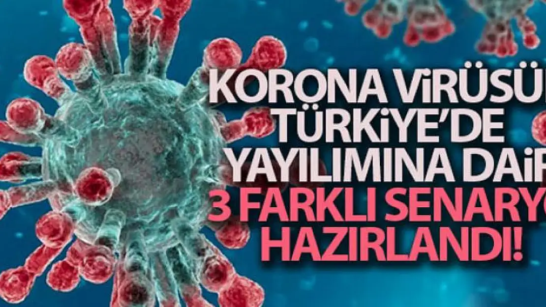 Koronavirüsün Türkiye'de yayılımına dair 3 senaryo hazırlandı