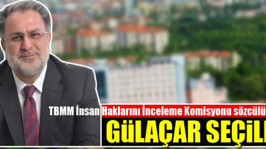 TBMM İnsan Haklarını İnceleme Komisyonu sözcülüğüne Gülaçar seçildi