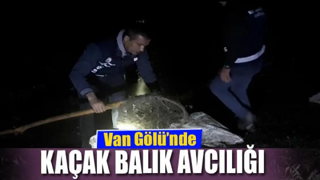 Van Gölü'nde kaçak balık avcılığı