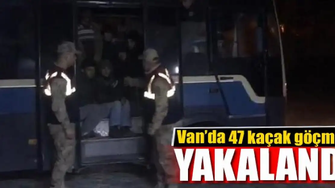 Van'da 47 kaçak göçmen yakalandı