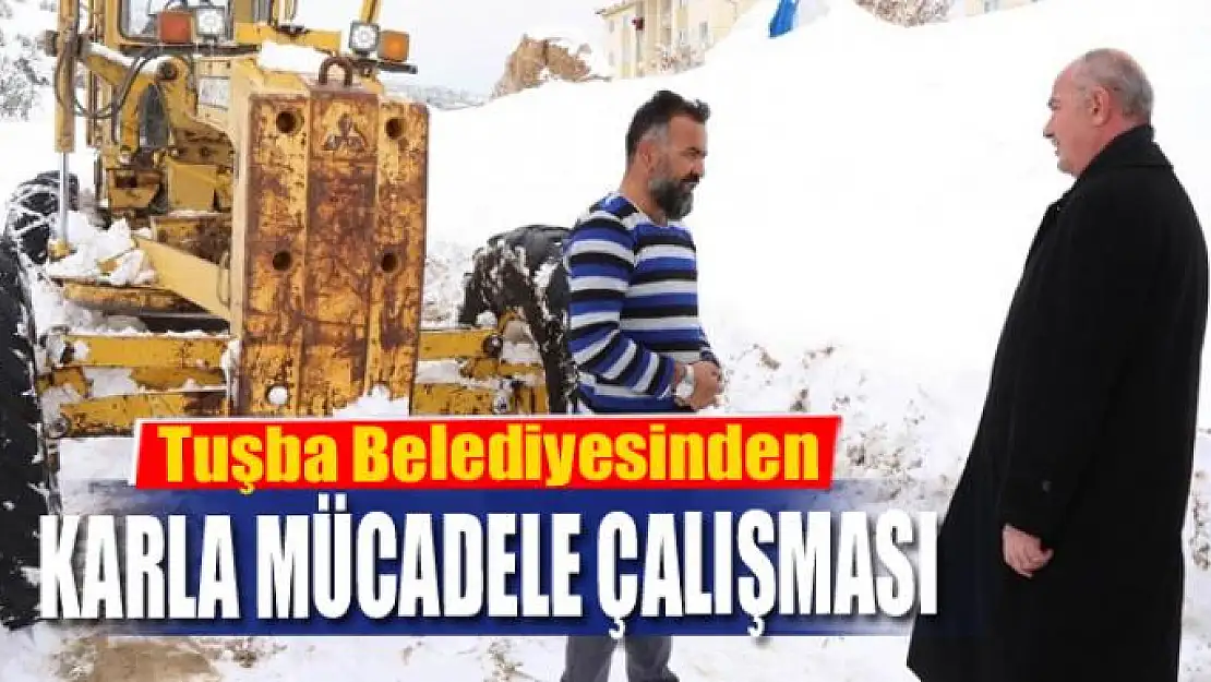 Tuşba Belediyesinden karla mücadele çalışması