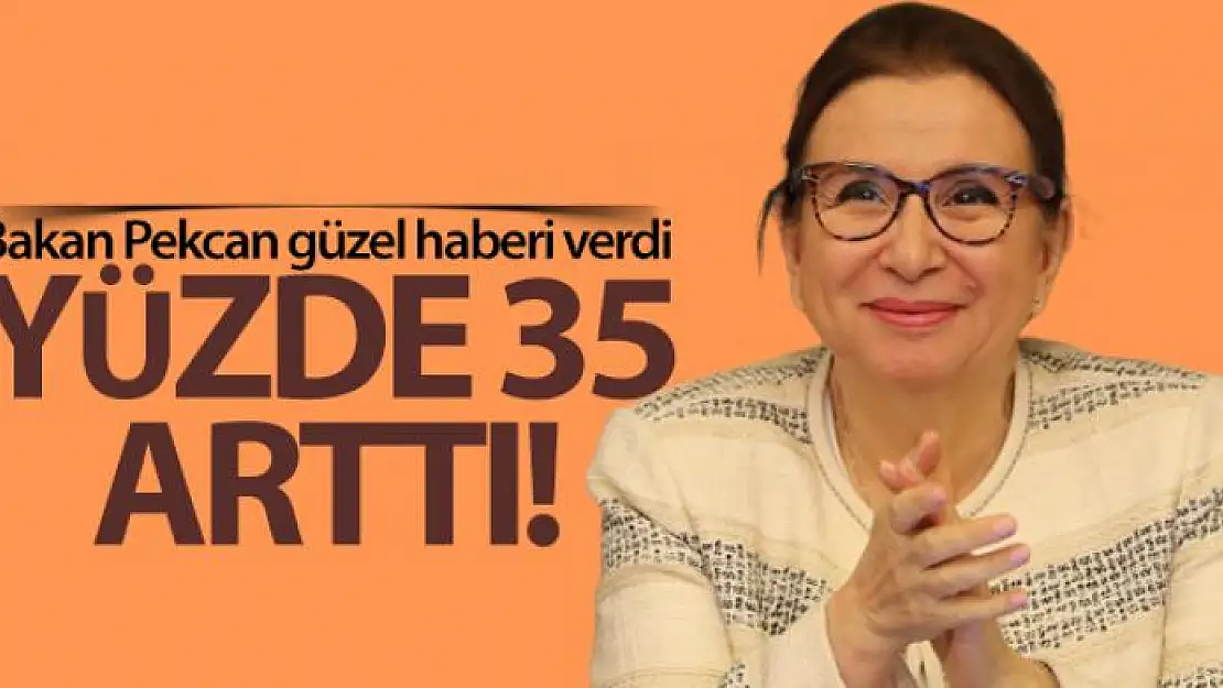 Bakan Pekcan: 'Haziranda ihracatımız mayısa göre yüzde 35 yükseldi'