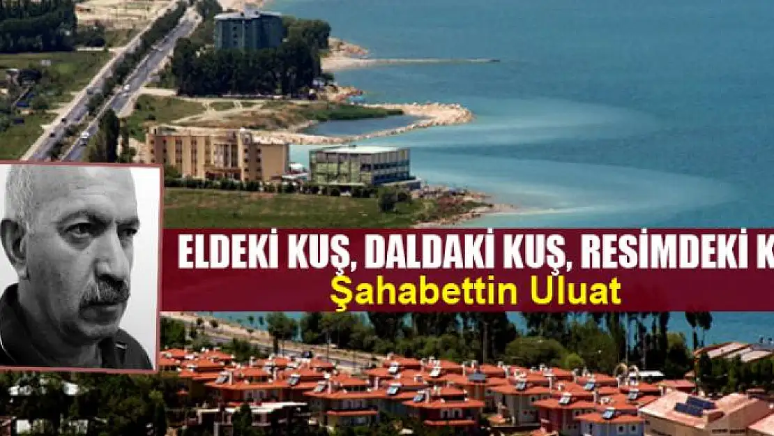 Eldeki kuş, daldaki kuş, resimdeki kuş