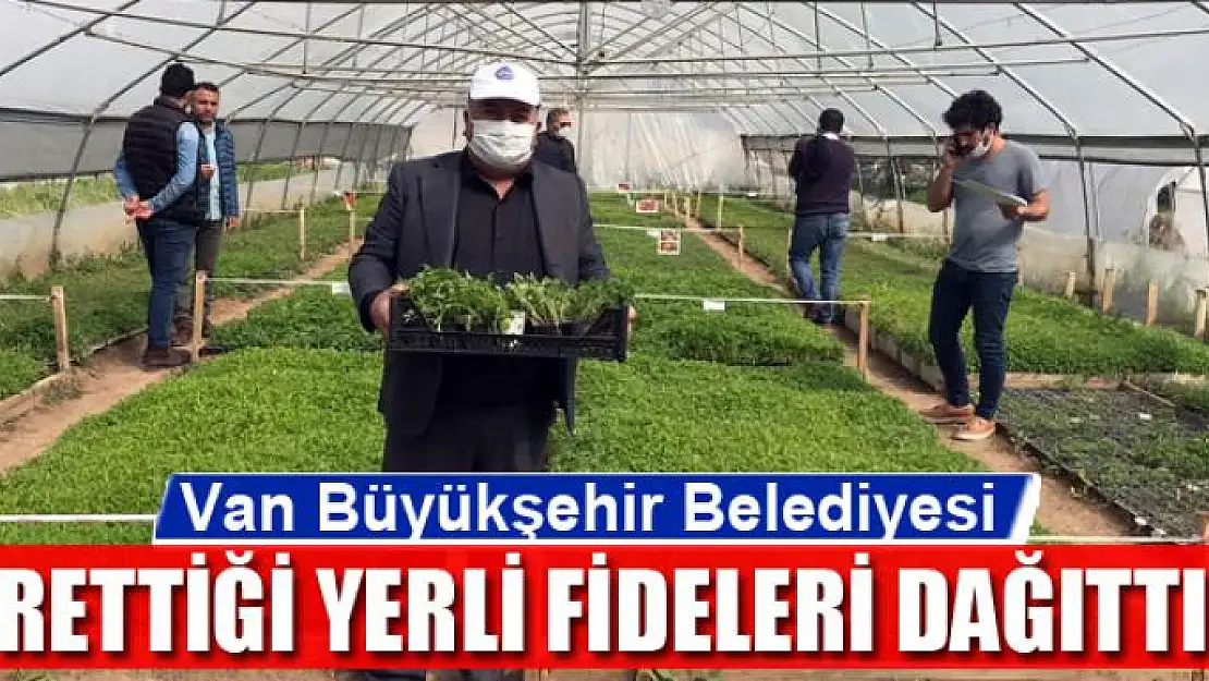 Van Büyükşehir Belediyesi ürettiği yerli fideleri dağıttı