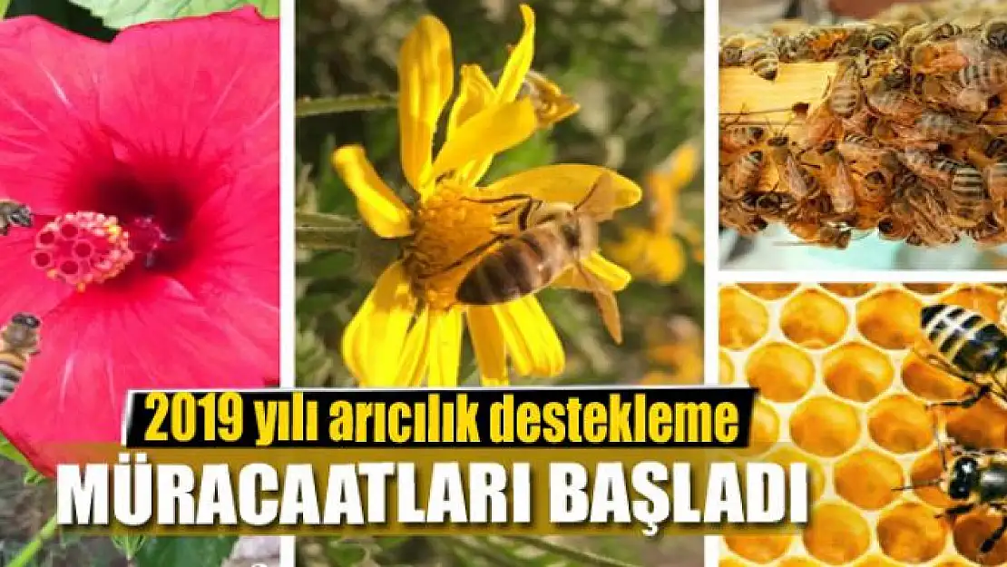 2019 yılı arıcılık destekleme müracaatları başladı