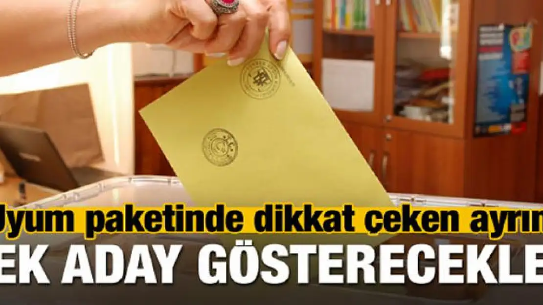 Partiler sadece bir aday gösterecek