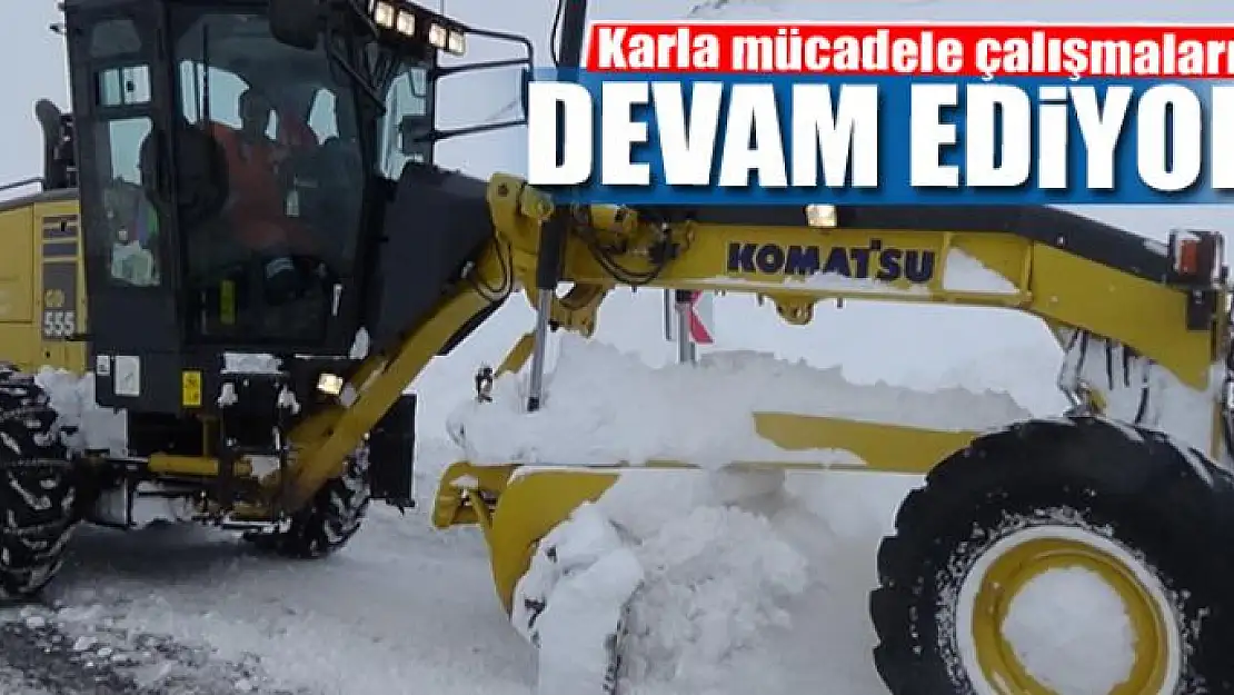 Van'da 57 yerleşim yerinde karla mücadele devam ediyor