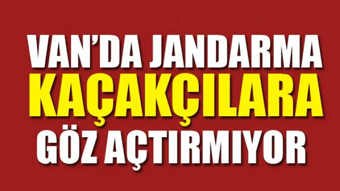 Jandarma kaçakçılara göz açtırmıyor 