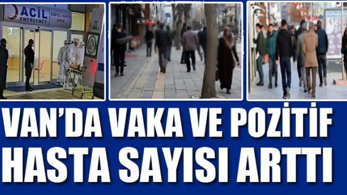 VAN'DA VAKA VE POZİTİF HASTA SAYISI ARTTI