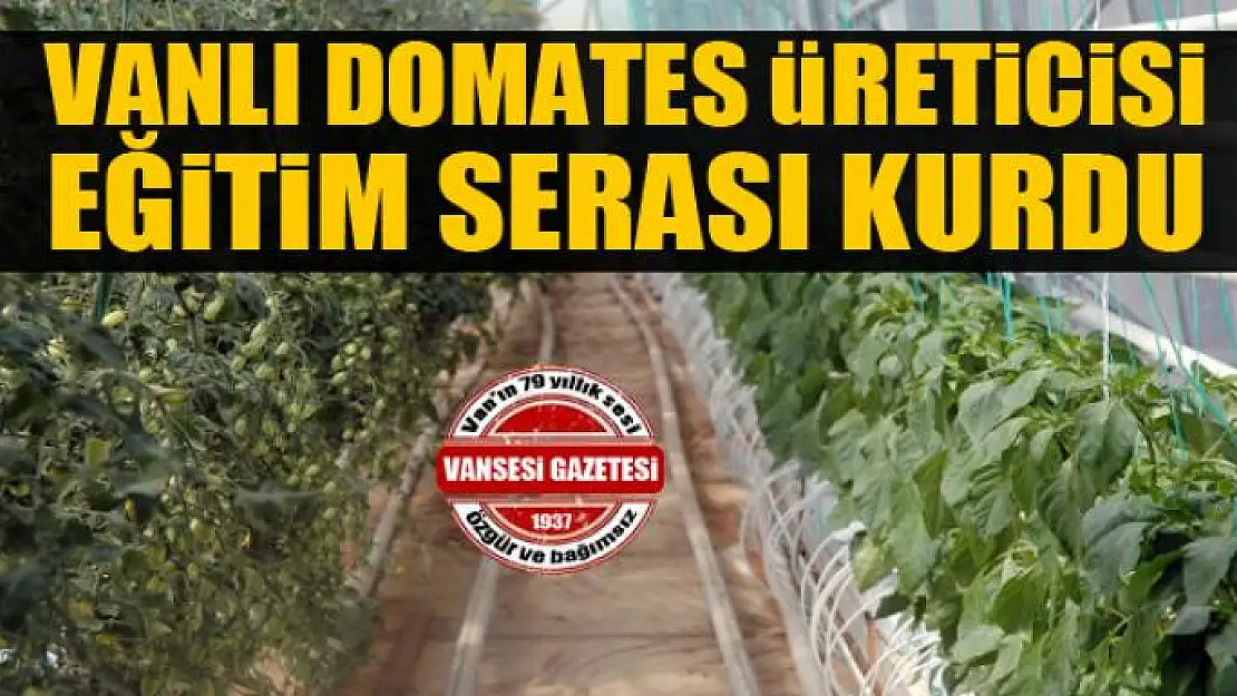 Vanlı domates üreticisi eğitim serası kurdu