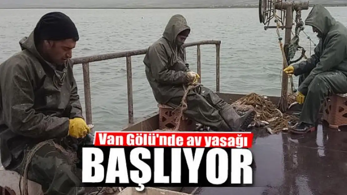 Van Gölü'nde av yasağı başlıyor