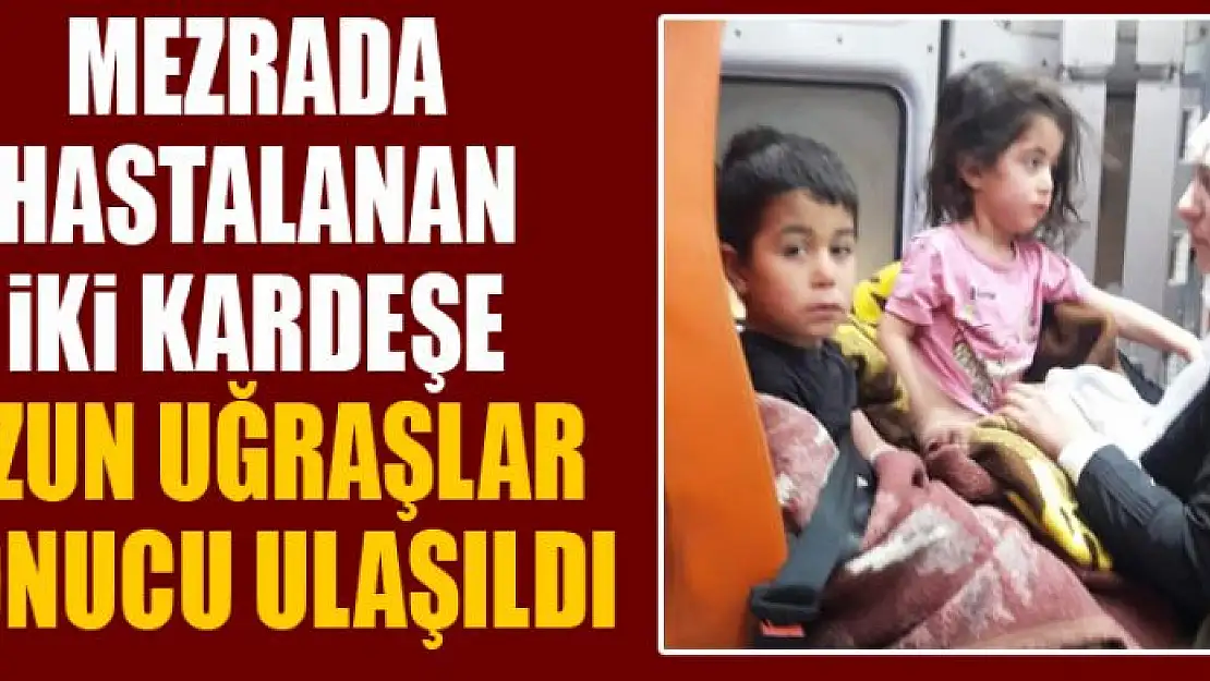 Mezrada hastalanan iki kardeşe uzun uğraşlar sonucu ulaşıldı