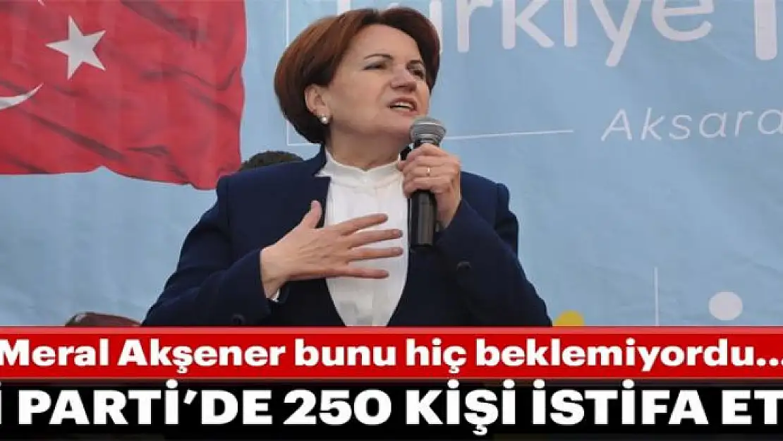  İYİ Parti'den 250 kişi istifa etti