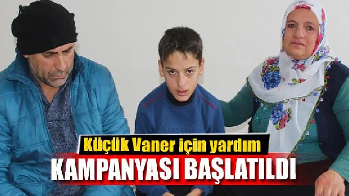 Küçük Vaner için yardım kampanyası başlatıldı