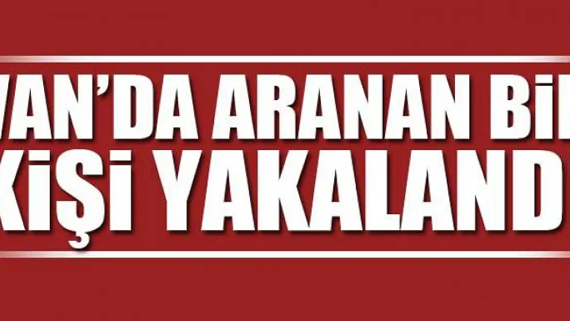 Van'da terör suçundan aranan bir kişi yakalandı