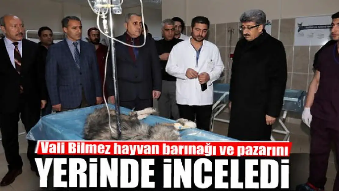 Vali Bilmez, hayvan barınağı ve hayvan pazarını inceledi