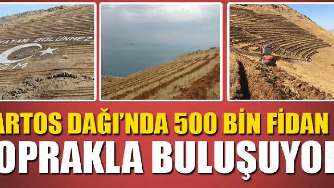 Artos Dağı'nda 500 bin fidan toprakla buluşuyor