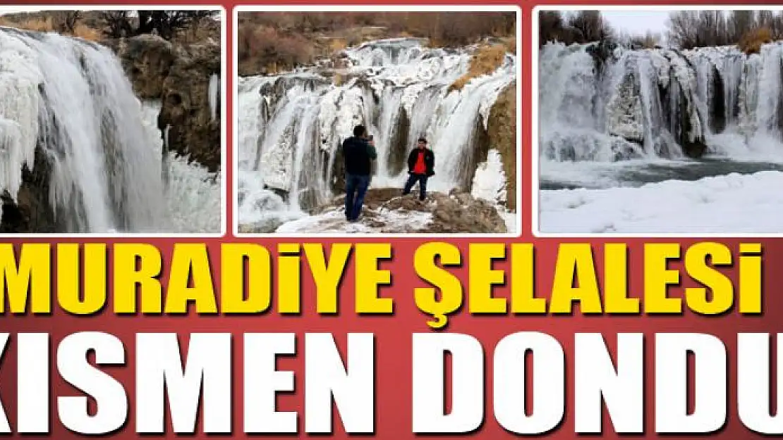 Muradiye Şelalesi kısmen dondu