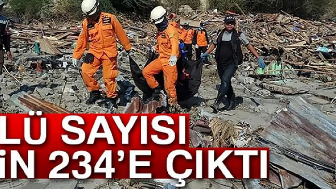 Endonezya'da ölü sayısı bin 234'e çıktı