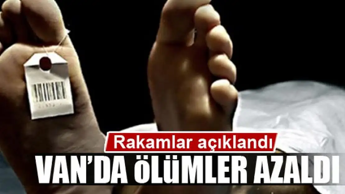 Van'da ölümler azaldı