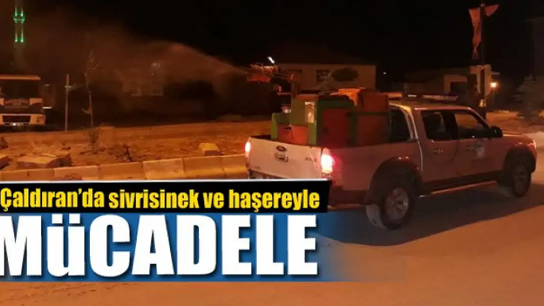 Çaldıran'da sivrisinek ve haşereyle mücadele