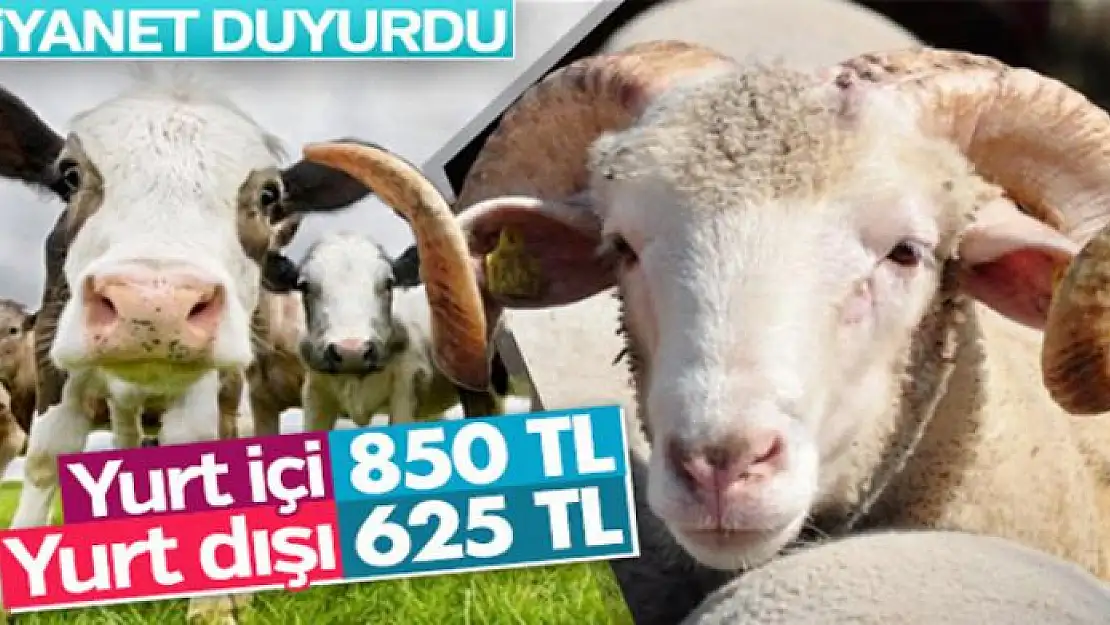 Kurban fiyatları açıklandı