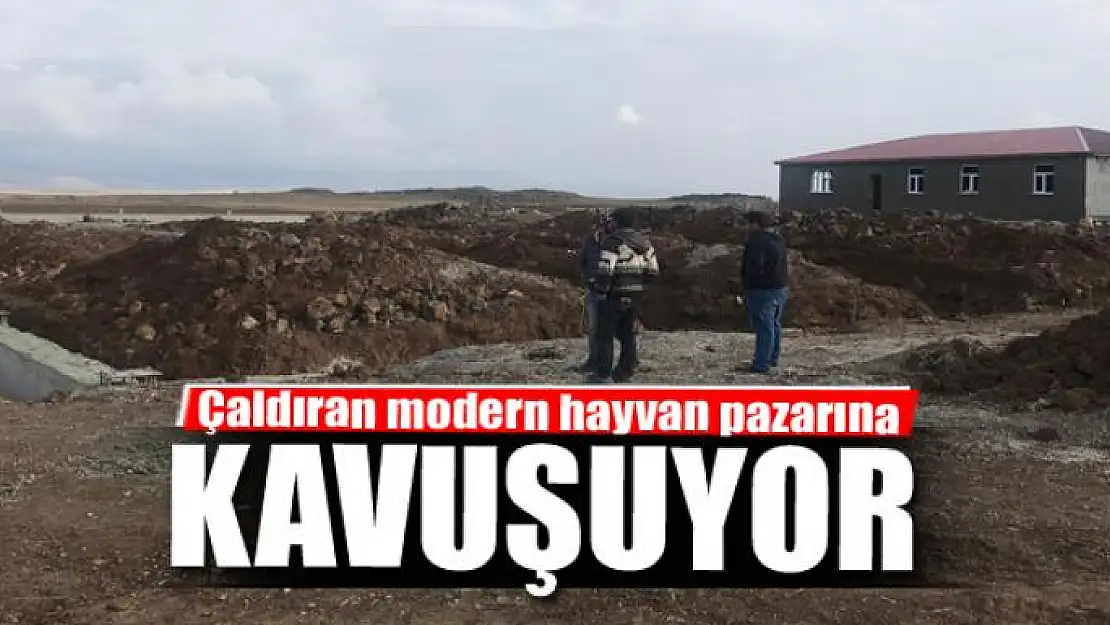 Çaldıran modern hayvan pazarına kavuşuyor