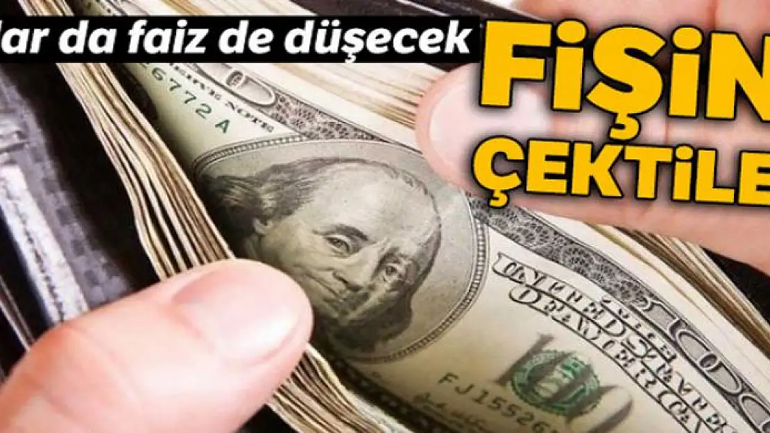 Dolar da faiz de düşecek