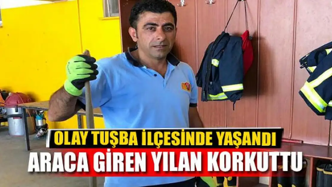 Araca giren yılan korkuttu