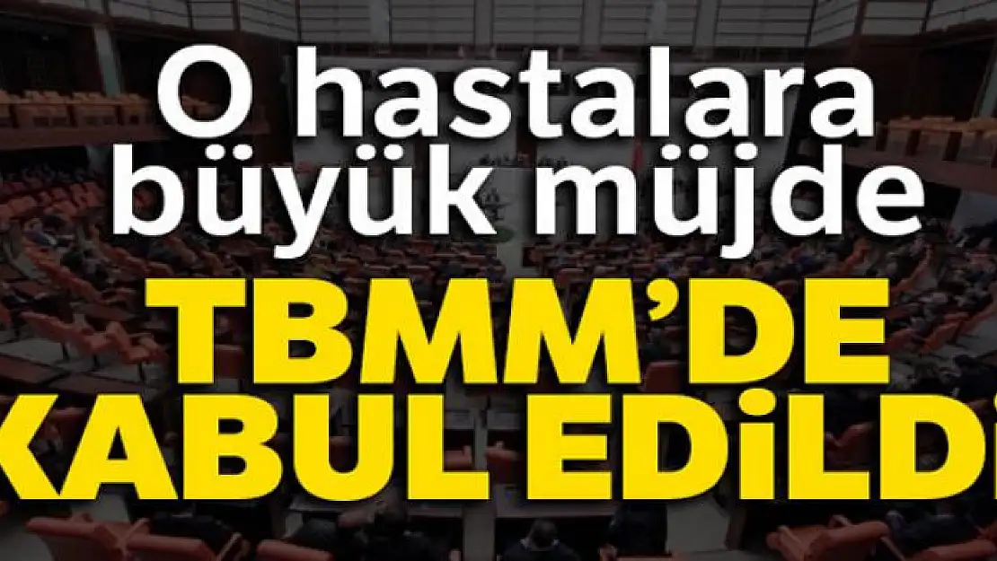 ALS, SMA hastalıklarıyla ilgili araştırma komisyonu kurulması kabul edildi