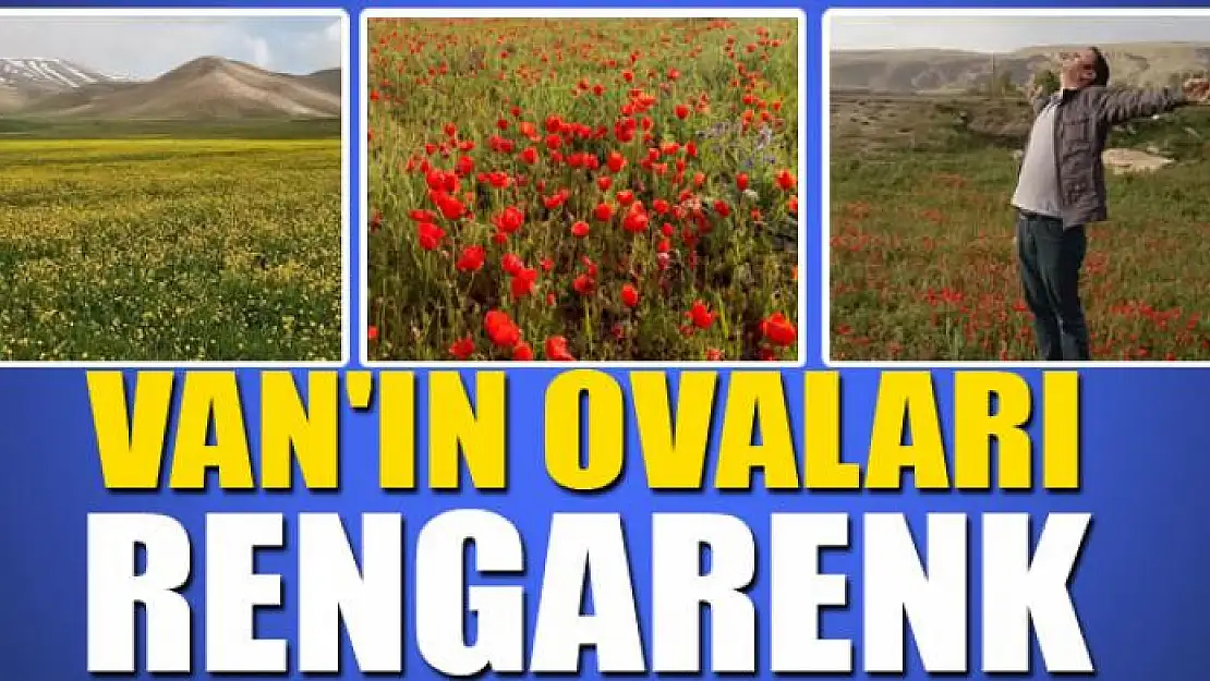 Van'ın ovaları rengarenk