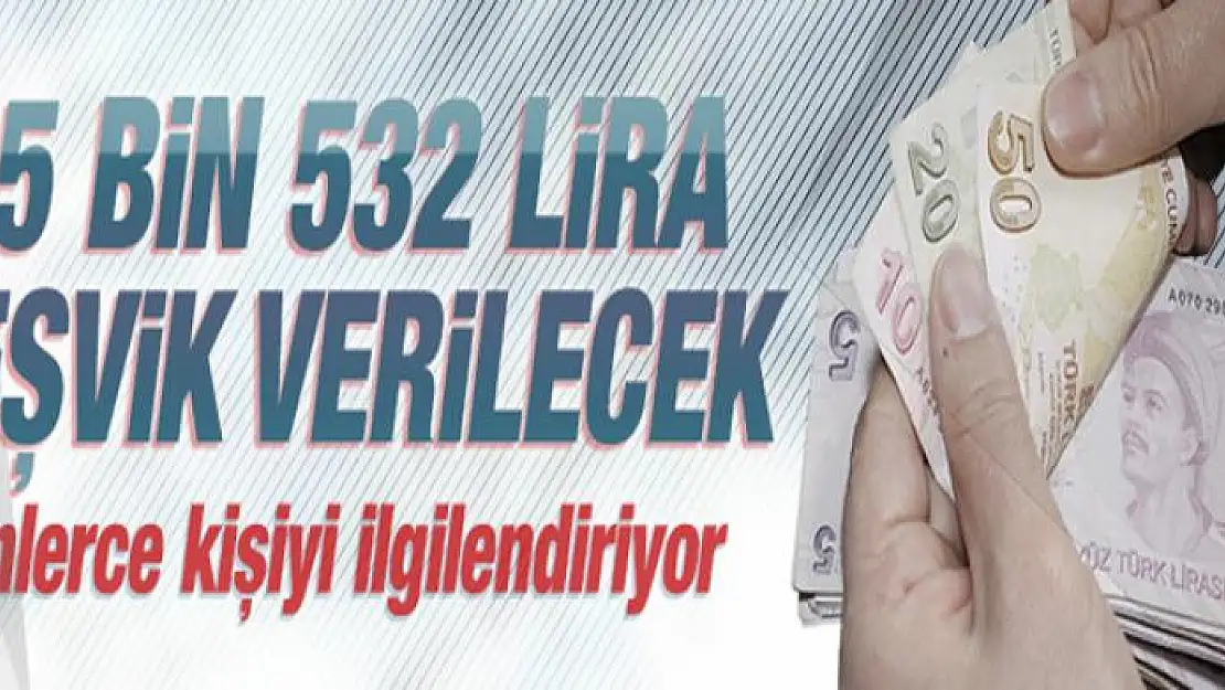 Yeni iş kuran gençlere 25 bin 532 lira teşvik verilecek