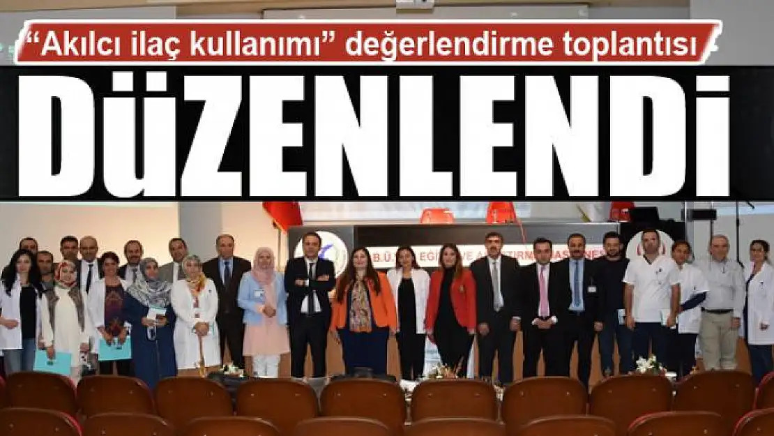 Van'da 'Akılcı ilaç kullanımı' değerlendirme toplantısı