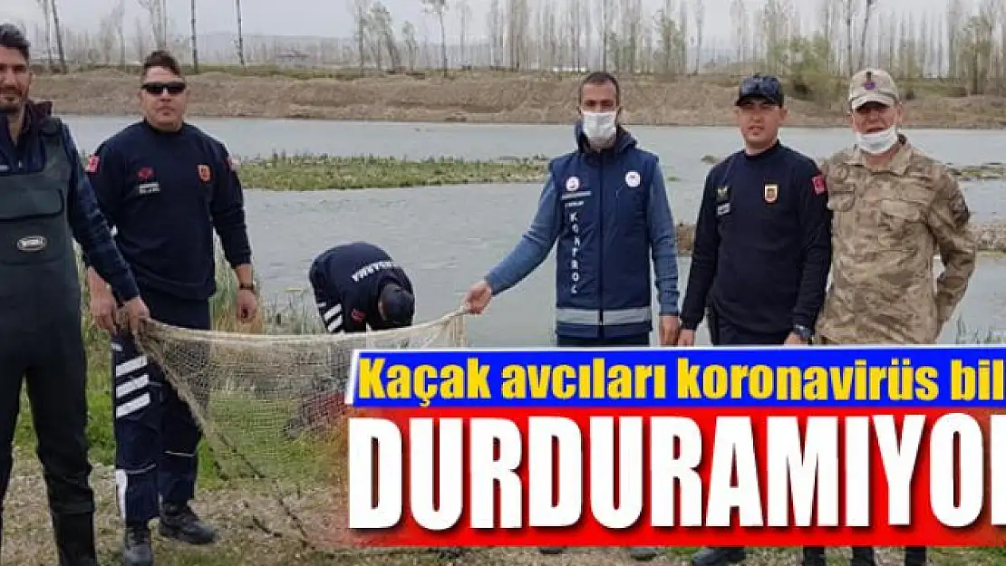 Kaçak avcıları korona virüs bile durduramıyor