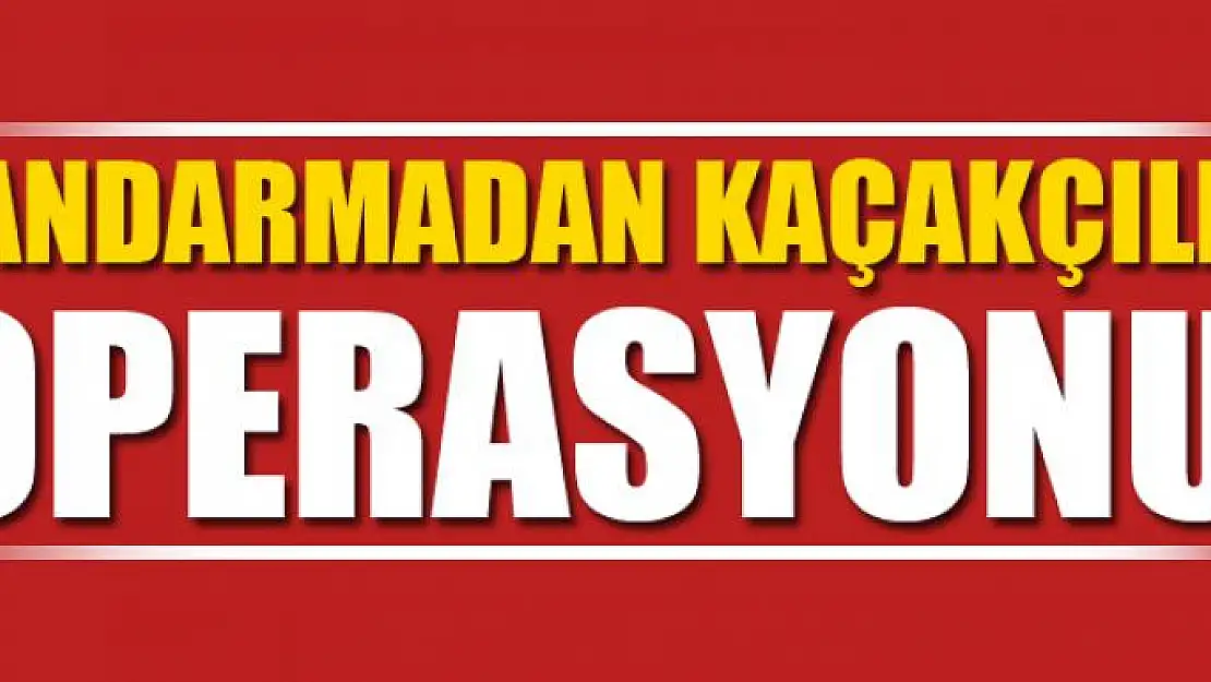 Jandarmadan kaçakçılık operasyonu 