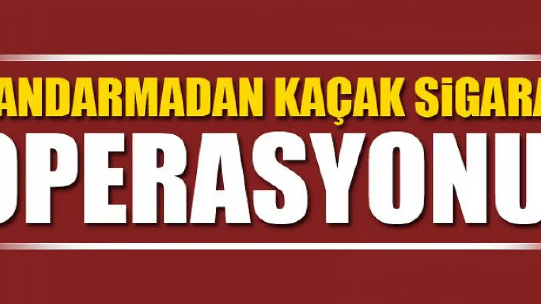 Jandarmadan kaçak sigara operasyonu 