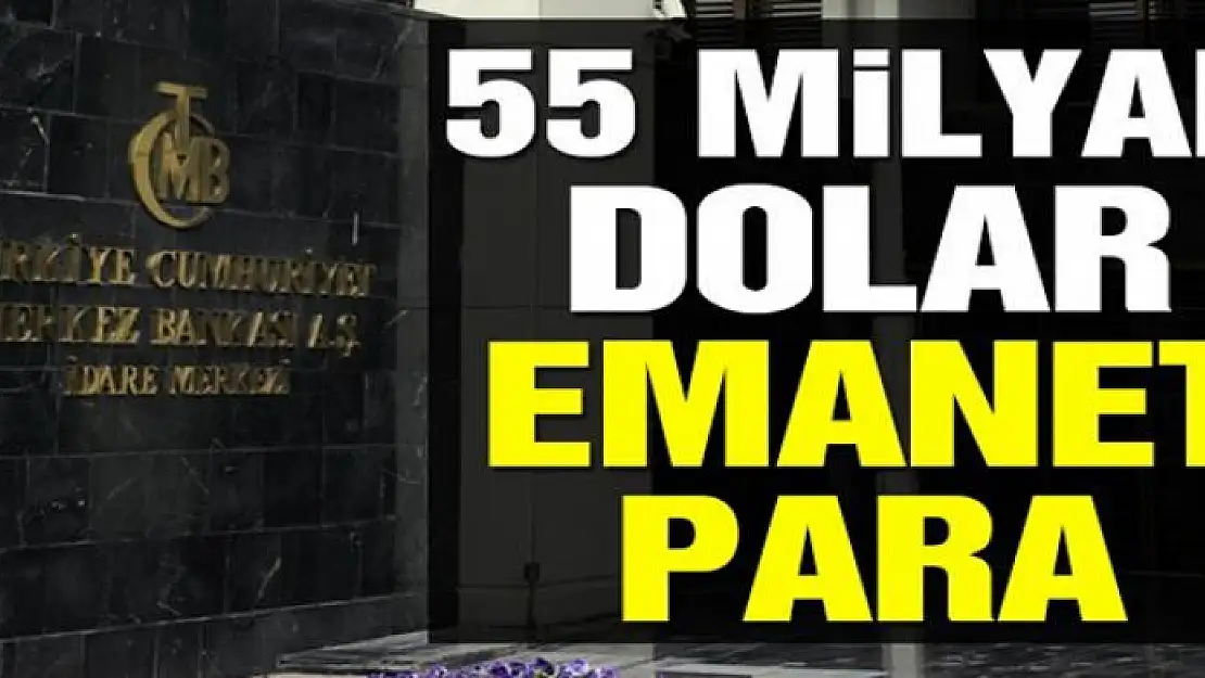 55 milyar dolar emanet para