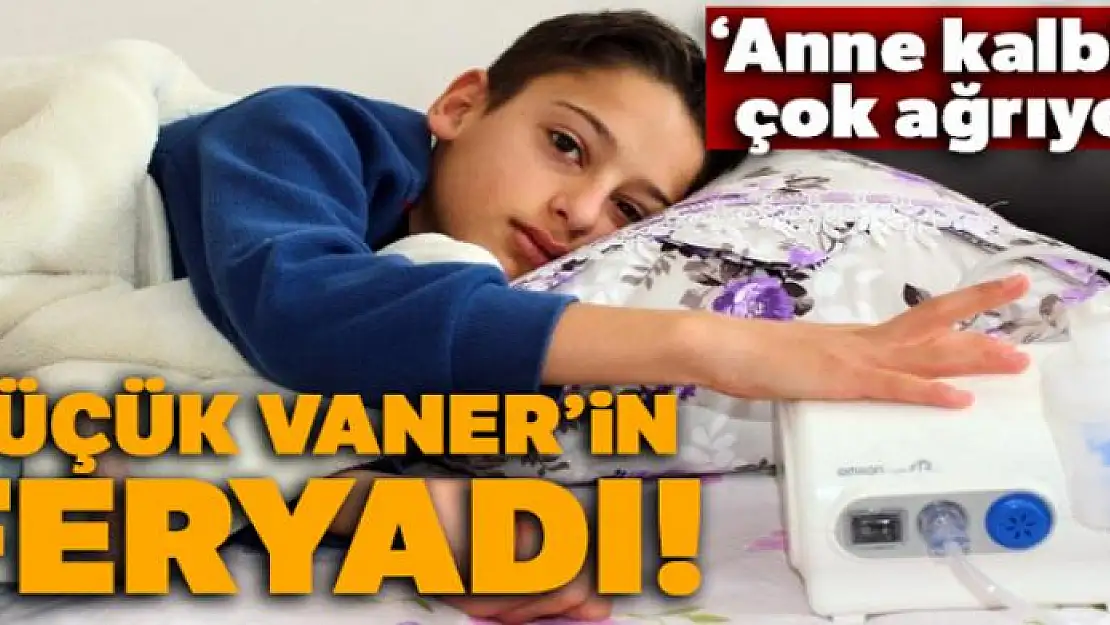 Küçük Vaner'in feryadı yürek burktu