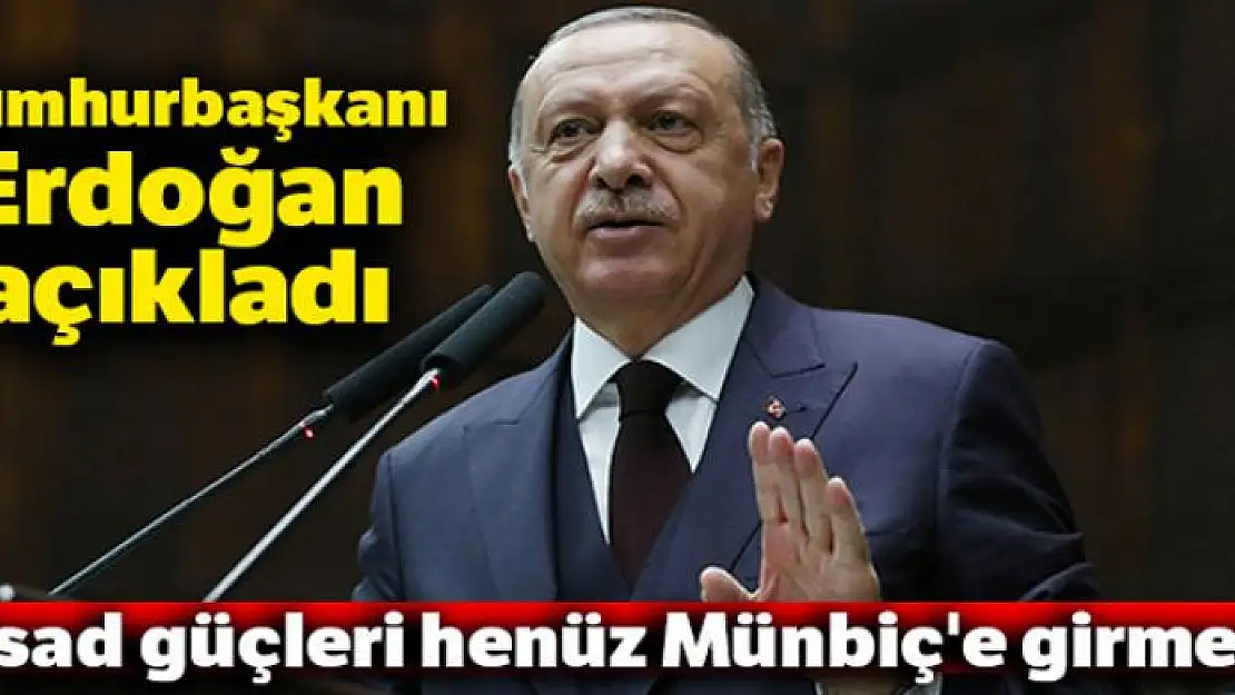 Cumhurbaşkanı Erdoğan: 'Esad güçleri henüz Münbiç'e girmedi'