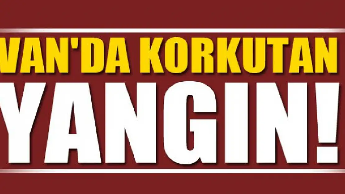 Van'da korkutan yangın