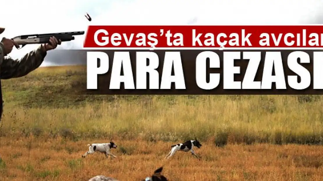 Gevaş'ta kaçak avcılara para cezası